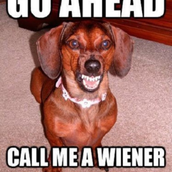 Meet your Posher, David - Picture 1 of 1